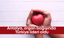 Antalya, organ bağışında Türkiye lideri oldu
