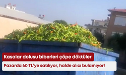 Kasalar dolusu biberleri çöpe döktüler: Pazarda 60 TL’ye satılıyor, halde alıcı bulamıyor!
