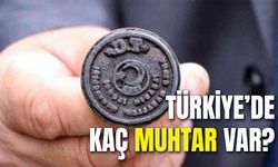 Türkiye'de Kaç Muhtar Var? İstanbul, İzmir, Ankara…