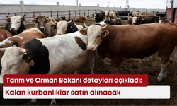 Tarım ve Orman Bakanı detayları açıkladı: Kalan kurbanlıklar satın alınacak