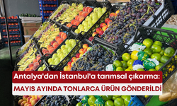 Antalya'dan İstanbul'a tarımsal çıkarma: Mayıs ayında tonlarca ürün gönderildi