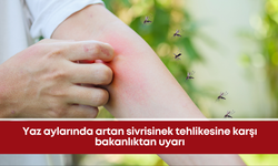 Yaz aylarında artan sivrisinek tehlikesine karşı bakanlıktan uyarı