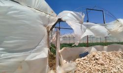 Mersin'de fırtına, seraları yıktı
