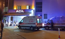 Antalya'da o meyveyi yiyen hastanelik oldu!