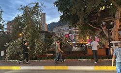 Isparta'da facianın eşiğinden dönüldü: 457 yıllık anıt ağacı devrildi