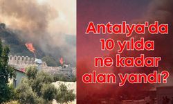 CHP, Antalya'nın orman yangını bilançosunu açıkladı!