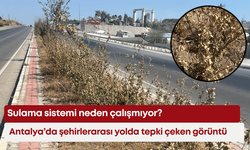 Antalya’da şehirlerarası yolda tepki çeken görüntü: Sulama sistemi neden çalışmıyor?