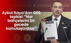 Aykut Kaya’dan GES tepkisi: “Nar bahçelerini bir gecede kamulaştırdılar”
