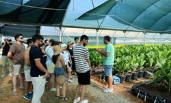 Bodrum Garaova’da gençlik tarımla buluştu