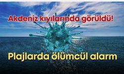 Plajlarda ölümcül alarm: Akdeniz kıyılarında görüldü!