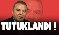 Muhittin Böcek tutuklandı!