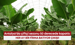 Antalya’da çiftçi sezonu 50 derecede kapattı: Her ay bir firma batıyor çıkışı!