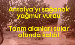 Antalya’yı sağanak yağmur vurdu: Tarım alanları sular altında kaldı!