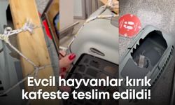Uçuş sonrası şok: Evcil hayvanlar kırık kafeste teslim edildi!