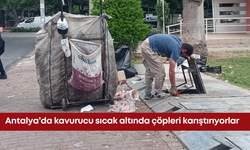 Antalya’da kavurucu sıcak altında çöpleri karıştırıyorlar!