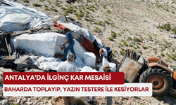 Antalya’da ilginç kar mesaisi! Baharda toplayıp, yazın testere ile kesiyorlar