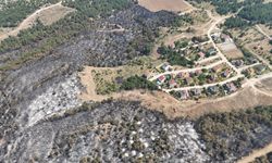 Karabük'te doğa yeşilden siyaha döndü