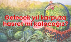 Gelecek yıl karpuza hasret mi kalacağız?
