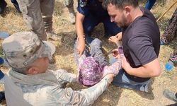 Burdur'da 48 saattir kayıp kadın ormanda bulundu!