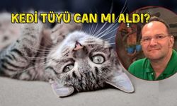 Sakarya’da “Kedi Tüyü Ölümü” iddiasına bilimsel yanıt