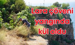 Dünyada sadece Muratpaşa'da yetişen Lara çöveni yangında kül oldu!