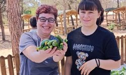 Karakent Doğa Okulu'nda öğrenciler hasat coşkusu yaşadı