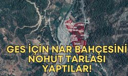 Antalya'da GES için nar bahçesini nohut tarlası yaptılar!