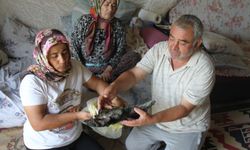 Serik’teki yangında bir ailenin umutları da küle döndü