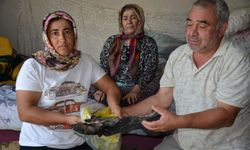Serikli çiftçi aile her şeyini kaybetti: Ev ve 90 bin lira kül oldu...