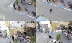 Mersin'de sokak kedisini defalarca tekmeledi!