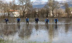 Muğla'da haşere avı: 13 ilçede ekipler sahada