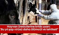 Hayvan üreticilerine kritik uyarı: “Bu yıl şap virüsü daha ölümcül ve tehlikeli”