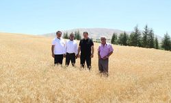 Korkuteli buğdayı EKDAĞ'da ekmek  olacak