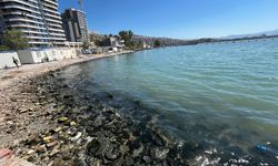 İzmir Körfezi'nde kötü koku ve balık ölümleri yeniden gündemde