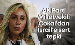 AK Parti Milletvekili Çokal'dan İsrail'e sert tepki
