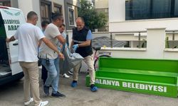 Alanya'da kiralık evde cinayet! Katil emlakçıyı aradı