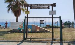 Alanya'da köpekler için eğlence ve eğitimin adresi değişmiyor