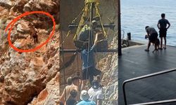 Alanya’da dağ keçisinin imdadına tekneciler koştu