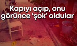 Antalya’da dehşet! Kapıyı açıp, onu görünce ‘şok’ oldular