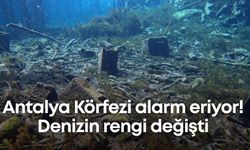 Antalya Körfezi alarm eriyor! Denizin rengi değişti