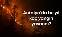 Antalya'da bu yıl kaç yangın yaşandı?