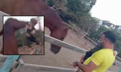 Korku dolu anlar! Ürken at, kendisini sevmek isteyen çocuğu havaya fırlattı