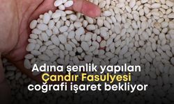 Adına şenlik yapılan Çandır Fasulyesi coğrafi işaret bekliyor