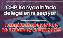 CHP Konyaaltı’nda delegelerini seçiyor! Hangi mahalle nerede, ne zaman oy kullanacak?