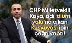 CHP Milletvekili Kaya, adı ‘ölüm yolu’na çıkan Kuşyuvası için çağrı yaptı!