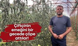 Antalya’da büyük vicdansızlık! Çiftçinin emeğini bir gecede çöpe attılar!