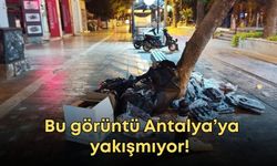 Bu görüntü Antalya’ya yakışmıyor! Turizmin merkezinde çöp rezaleti