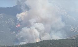 Denizli'de orman yangını başladı!
