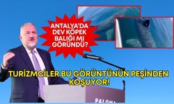 Antalya’da dev köpek balığı mı göründü? Turizmciler bu görüntünün peşinden koşuyor!