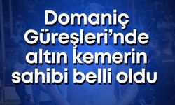 Domaniç Güreşleri’nde altın kemerin sahibi belli oldu